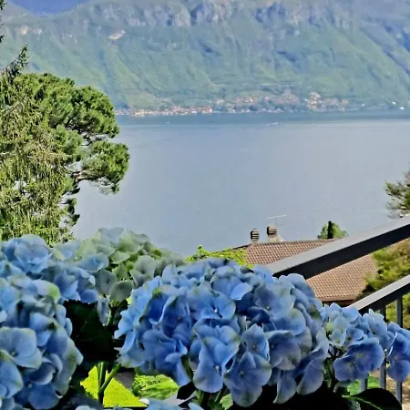 Apartament Casa Frida